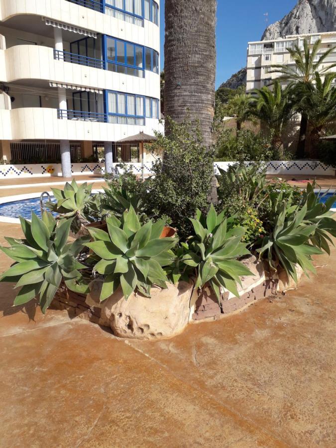 Appartement Equipe Calpe Espagne, 4 Couchages, Terrasse, Piscines, Climatisation, Garage, Wifi Gratuits Bagian luar foto